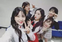 吃瓜爆料裙在线,网络红人新宠，揭秘幕后故事